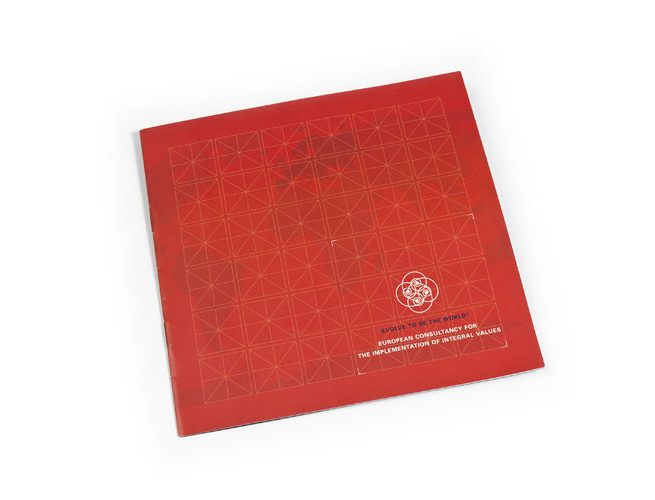 Coaching-Projekt "evolve to be the world"